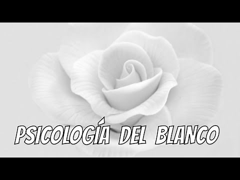 CURIOSIDADES DEL COLOR BLANCO | Historia de los Colores | Datos curiosos Cómo funcionan los Colores