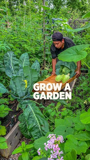 300K views · 7.7K reactions | We used these effective methods and grew food in every corner of our garden | Plantedinthegarden | Facebook