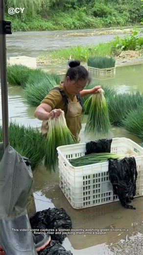 Rural Life🌾River Washing Green Onions #Original ↓