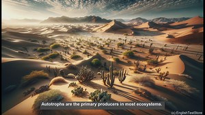 Autotrophic in biology