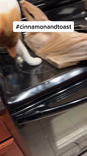 Nicole Medley (@nicolemedley0)’s videos with original sound - Nicole Medley