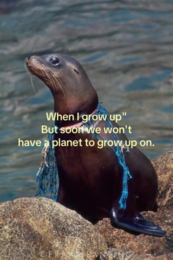 Protecting Our Planet for Future Generations