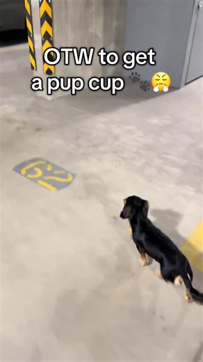 Video's van Wisco_M4 (@darre_13) met original sound - Wisco_M4