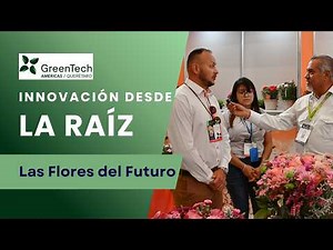 This is how Dümmen Orange creates the flowers of the future: innovation from the ground up, start...