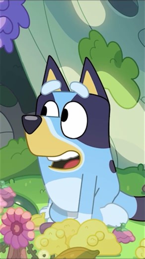 A letter to the fairies💙🧚‍♀️ | Bluey