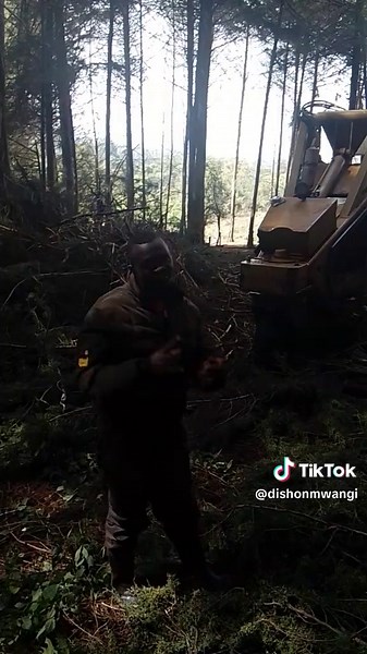 Mwangi wa bell logger 032 (@dishonmwangi)’s videos with original sound - KAMAU WA NYAKAIRU