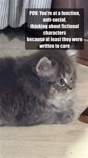 Book meme’s to reflect my MENTAL HEALTH #catmeme #shorts #viral