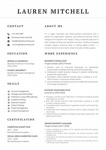 Modern Accountant Resume Template | Clean & Minimalist CV Design | A4 Printable Ats-friendly | for Word - Etsy Canada