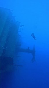 208 reactions · 5 comments | How much oxygen is left in your tank? 藍...