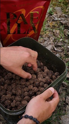 This Powder Trick Wraps Your Boilies In Paste 😱 Big Edge! #carpfishing #fishing #bait