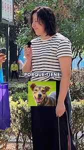 ¿Mestizos, criollos o callejeros? ¿Cómo los conoces tú? 🐕 En Petco, queremos reconocer su singularidad llamándolos "Raza Única", porque jamás encontraremos dos iguales, aunque siempre tienen el mismo cariño y enorme corazón. 🌟 ¡Pronto, tendremos increíbles sorpresas para estos pequeños, espéralas! 🐾🙌​ ​ #PetcoMéxico #PerroRazaÚnica #mascotas #pets #dog #perro #doglover #rescateanimal #perrosrescatados #adopciones #PrimeroAdopta | Petco México