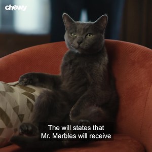 Our pets deserve the world. And sometimes, the keys to our summer house. | Chewy