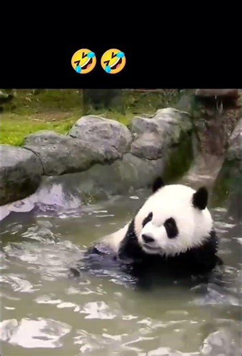 #love better the cute balls videos time passing😆😆