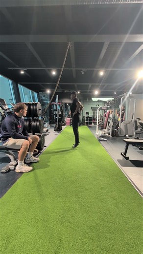 Rudimentary hops - lateral