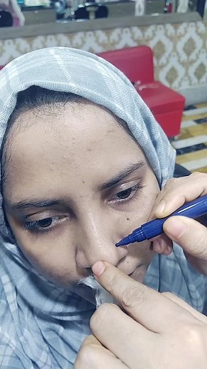 Demonstrating Creative Techniques with a Stylus