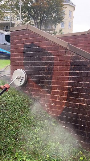 Pristine Clean on TikTok