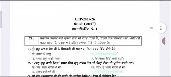 CEP CLASS -10 PUNJABI ASSIGNMENT -1 FULLY SOLVED