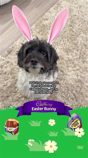 Still the sweetest bunny! @Cadbury USA #CadburyBunny2026