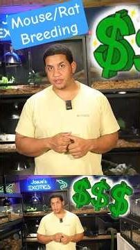 How to Never Run Out of Feeders Again—Rack Breeding 101 pt 1