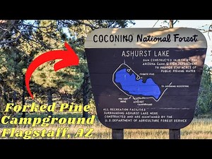 Forked Pine Campground Ashurst Lake Flagstaff AZ - Camping in Arizona