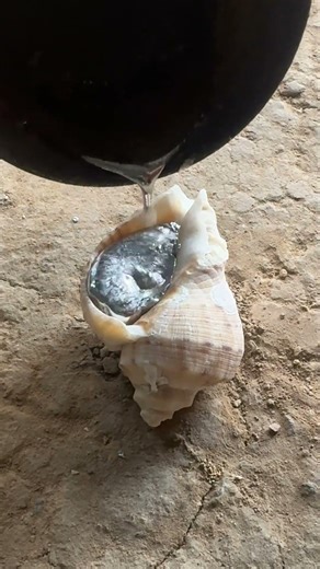 This aluminum snail shell transformation is oddly satisfying #diy #metalcasting #shorts
