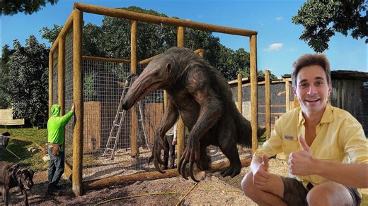 I built one of the biggest animal enclosures I’ve ever made!