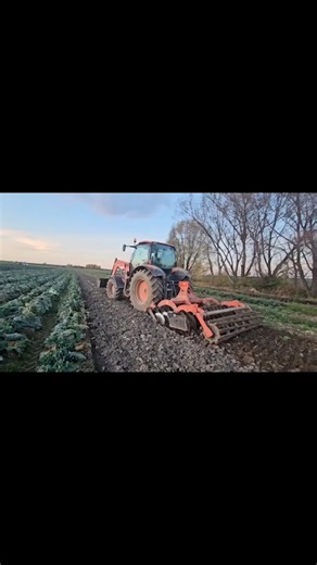 OLD TRACTOR IN ACTION🚜🔥#tractor#agro