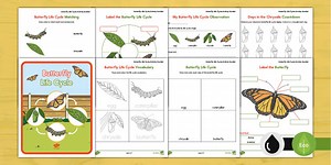 Butterfly Life Cycle Activity Booklet