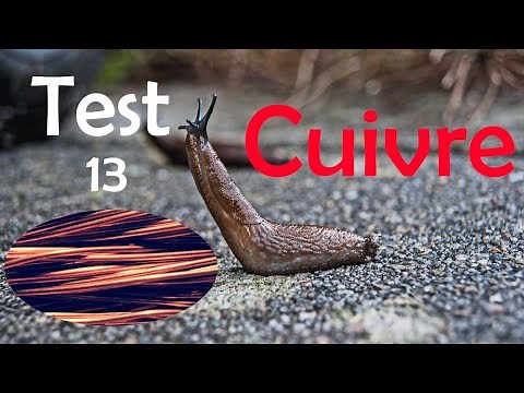 Test barrière CUIVRE : barrières à limaces naturelles pour potagers