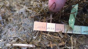 In this video silage expert, Darran Ward explains how to test the fermentation of your silage clamp.  | Ecosyl | Facebook