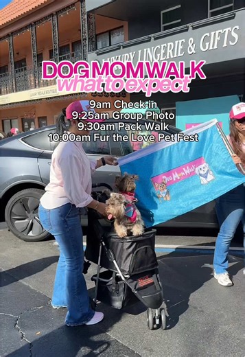 Join us Saturday, February 22 at Las Olas Oceanside Park for a morning of movement, connection, and pup love before heading straight into the Fur The Love Pet Fest. 🐕 Schedule: • 9:00 AM – Check-in • 9:30 AM – Group Walk • 10:00 AM – Pet Fest fun begins After the walk, stay and explore a free, pet-friendly festival featuring local pet businesses, interactive games, treats, and beachside vibes. #dogmom #dogfriendly #dogs #dogwalk
