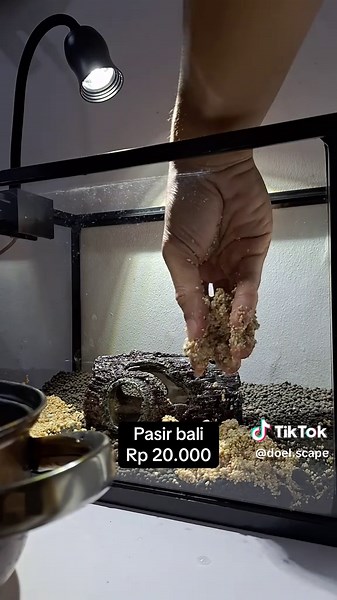 Panduan Aquascape Minimalis untuk Akuarium 30 cm