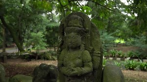 Old Shiva Stone Statue Covered In Moss At Bogor Botanical Gardens In Bogor, Indonesia. closeup shot