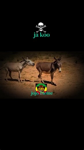 @jojo meme#jojo