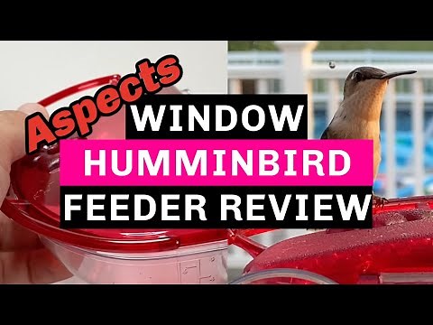Aspects WINDOW Hummingbird Feeder - Review & Unboxing (Actual Footage of Hummingbirds at the end!)