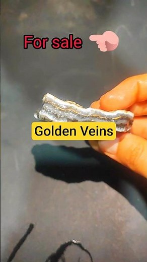 Stunning Agate Stone with Natural Golden Veins | Rare Gemstone Discovery