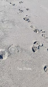 7.5K views · 205 reactions | Walking on the beach of Agia Marina in January  | Crete Insiders | Facebook