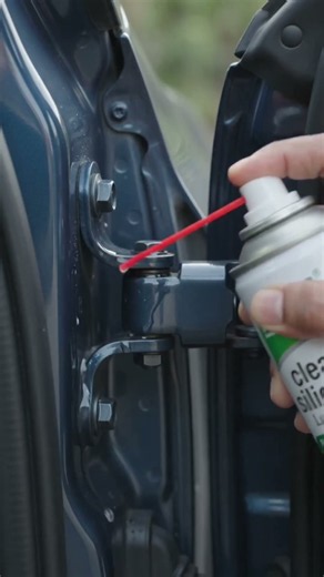 How to Fix a Squeaky Door Hinge #squeaky #cardoor #fix #fixingcars #wd40