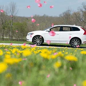 21 shares | We survived another winter season. It’s officially spring, hop in your car, and get out and drive! #firstdayofspring | Cars.com | Facebook