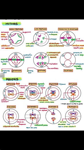 #class11 #chapter10 #celldivision #pwian #biology #vipinsir