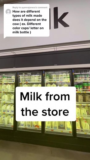 Understanding Milk Fat Percentage in Whole Milk