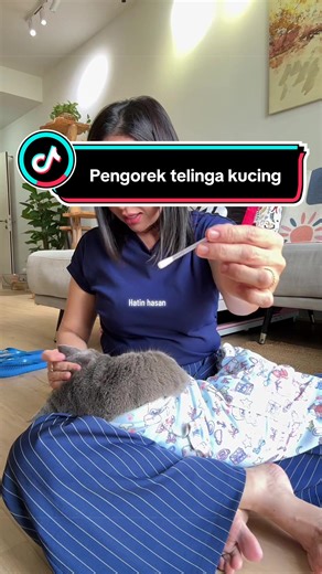 Best Ear Cleaners for Cats: Cotton Buds & Alternatives