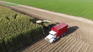 311K views · 1.3K reactions |  Rise Above Tour – Zu Besuch bei Coelho in El Nido, CA  Coelho Custom Chopping in El Nido Kalifornien ist ein im Jahr 2004 gegründeter Betrieb mit 25 Mitarbeitern, welches jährlich ca. 3300 Hektar Mais und 3700 Hektar Gras erntet. Coelho Custom Chopping is a company which was founded in 2004 and is located in El Nido, CA. They employ about 25 employees and chop 8000 acres of corn and 9000 acres of grass every year. 朗 | KRONE Agriculture | Facebook