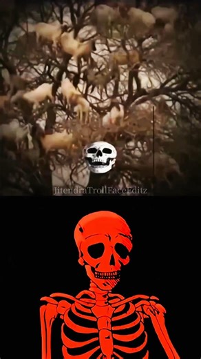 #aesthetic