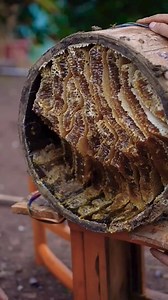 Natural breeding bees, good honey, desirable honey #beesonthefarm #beekeeping #honey | Beehub Reely