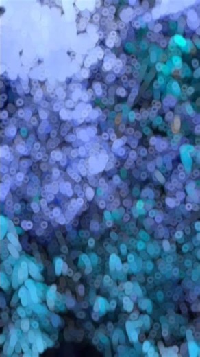 chusela othlali devra #bhojpuri #shorts #viralvideo