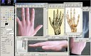 Hand and Finger Modeling Tutorial