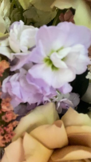 A pretty whimsical bouquet for Brittany from last week 🌸 Send us a whatsapp or call us for any enquiries relating to flowers for weddings or events Cell or Whatsapp: 079 526 3940 Emial: flowers@roseflorist.co.za #wedding #weddingbouquet #bride #bridal #bridalbouquet #bridalbouquets #weddingday #married #weddingflower #weddingflowers #weddingflowersinspirationes | The Antique Rose Florist