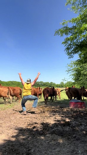 This advice could probably be used in all walks of life #cows #ranch #farm #lifeadvice #tips