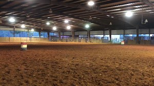 11 reactions · 9 comments | Cisco: This horse is such a cool dude! I’m excited to run him at some big barrel races this weekend in MS. He’s RODEO ready! 1D at super shows! Has consistent wins in the 1D under his belt for many years. This a jam up dude. Honest as they come! Just a fun ride! 50K I have him looking like a million bucks and he smoked a little run today in his cruise through! | M Performance Horses | Facebook